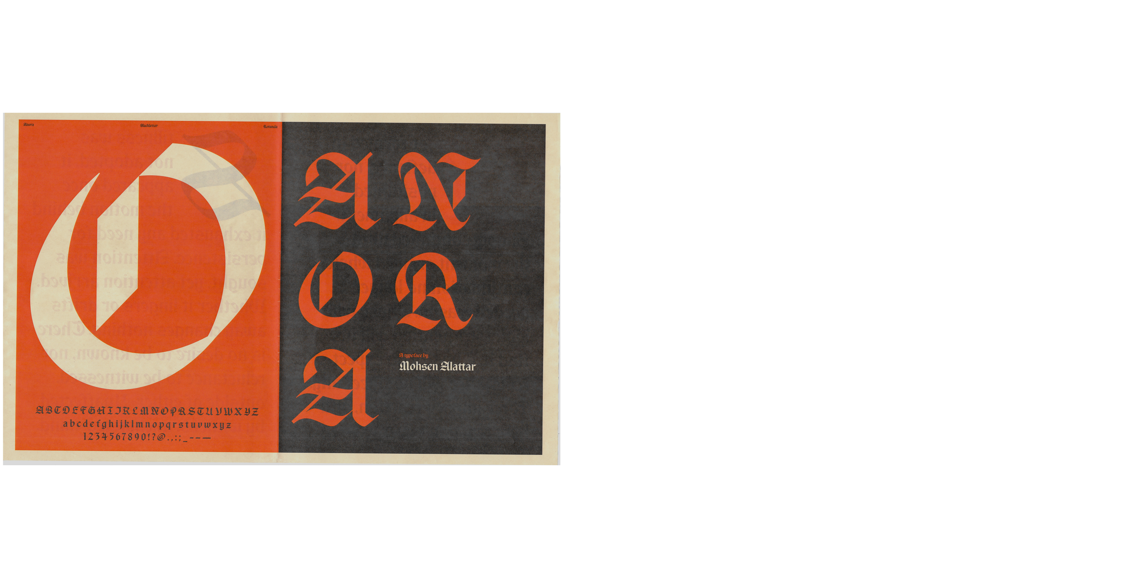 Anora newspaper specimen composition animation