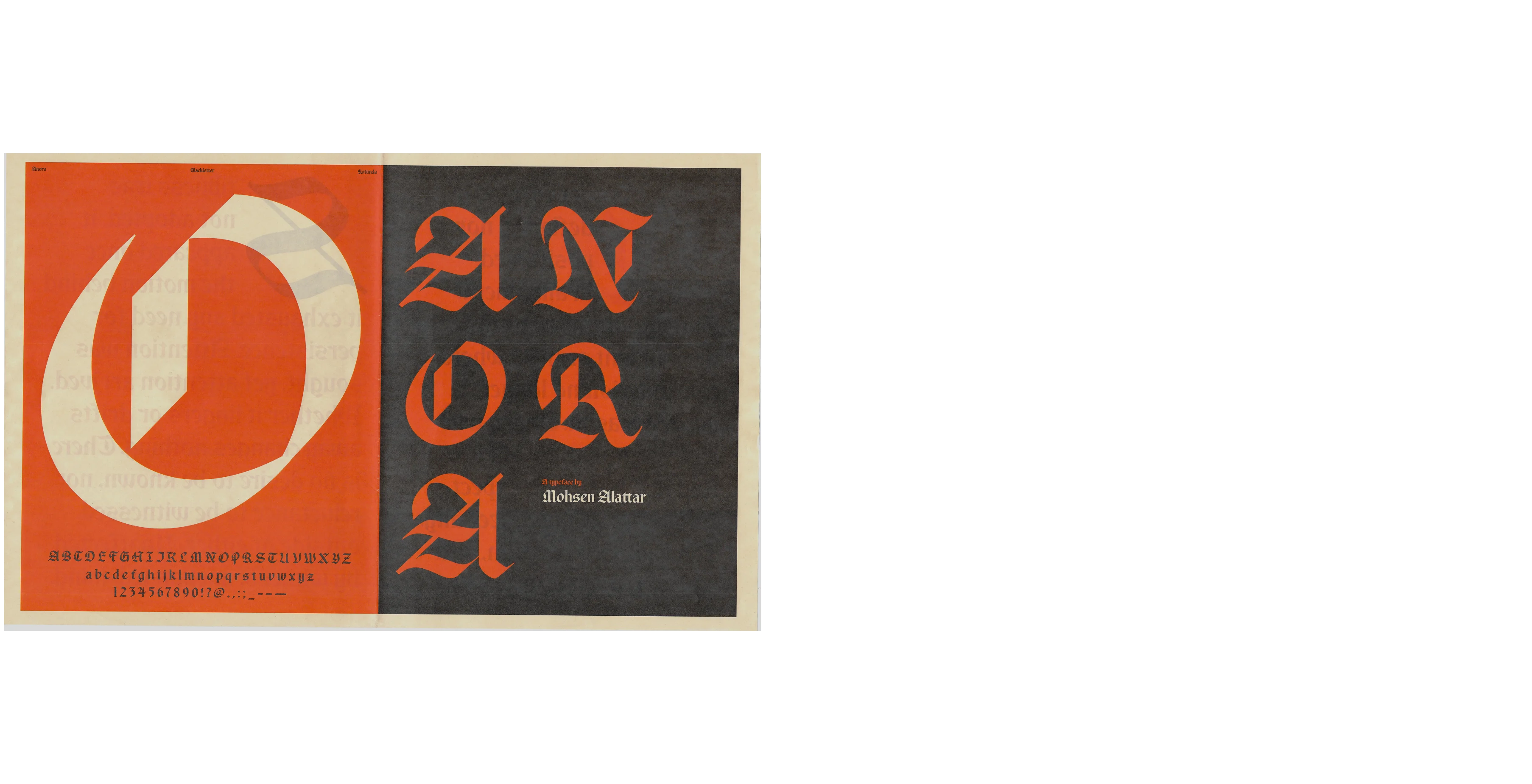 Anora newspaper specimen composition animation
