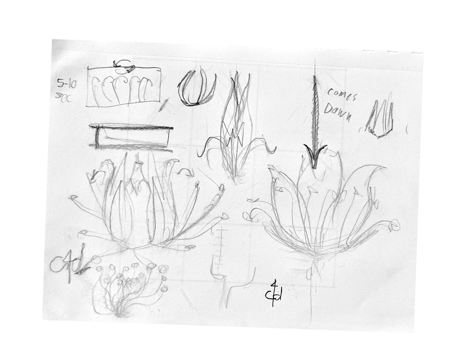 Microverse sketches, mind maps, and storyboard